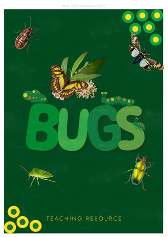 BUGS Teaching Resource