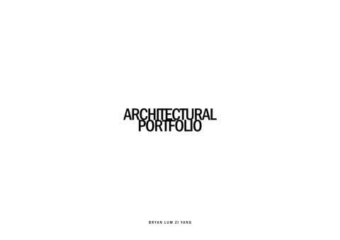Professional Portfolio