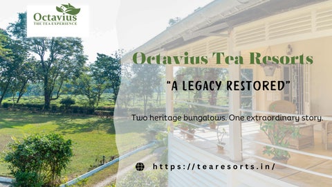 Octavius Tea Resorts | Heritage Tea Garden Resorts in Dooars