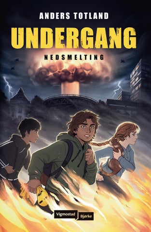 Nedsmelting  (9788241968785)