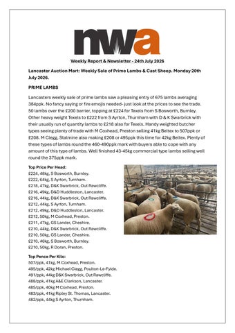 NWA NEWSLETTER 240726