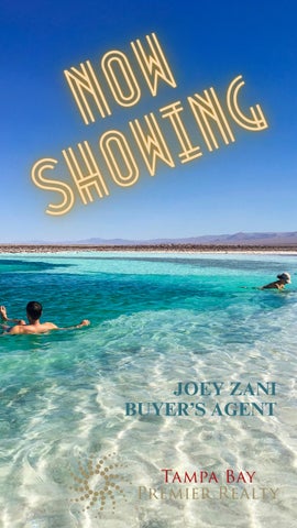 Joey Zani Flipbook_Family