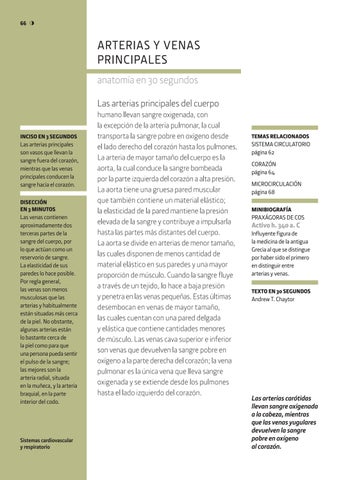 Anatomía. Estructuras y sistemas 第 6 页