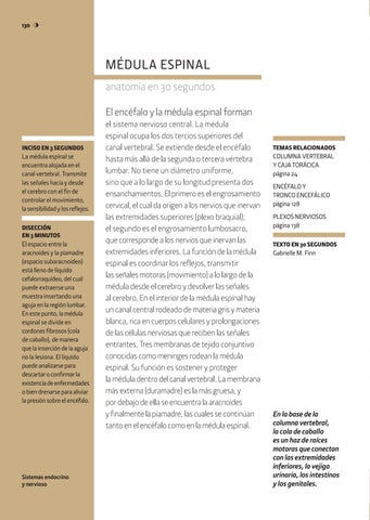 Anatomía. Estructuras y sistemas 第 8 页