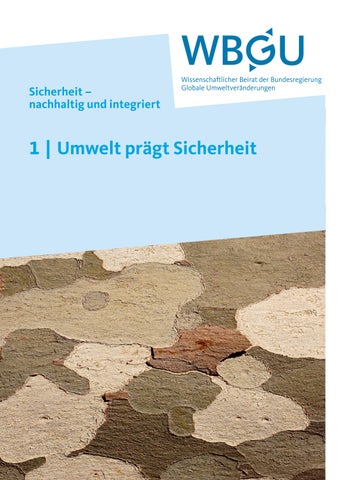 Teilgutachten 1: Umwelt prägt Sicherheit