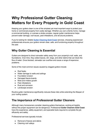 Why Professional Gutter Cleaning Matters for Every Property in Gold Coast