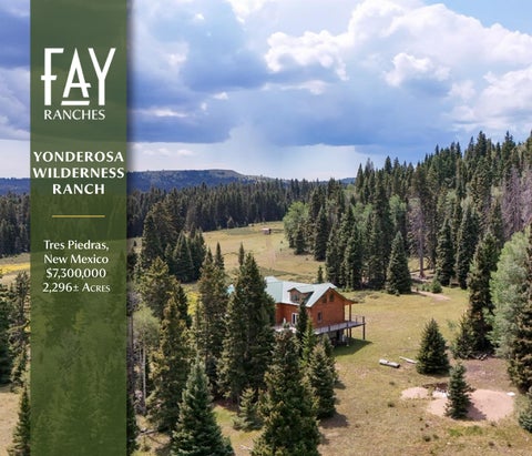Yonderosa Wilderness Ranch | Fay Ranches
