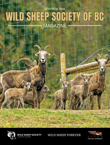 Wild Sheep Society BC Summer 2026