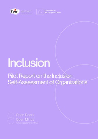Pilot Report on the Inclusion Self-Assessment of Organization