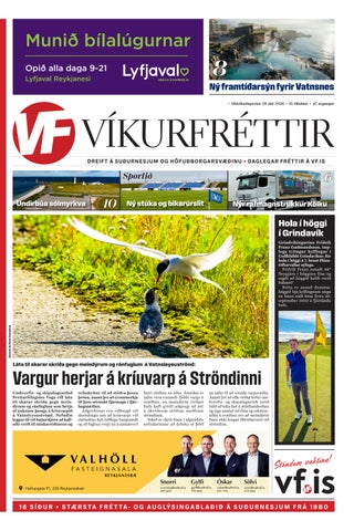 Víkurfréttir 15. tbl. 47. árg.