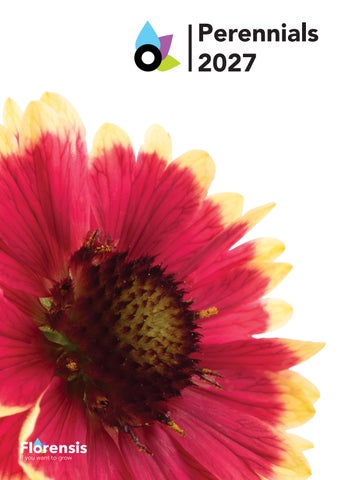 Perennials 2027 - PL-EN-IT