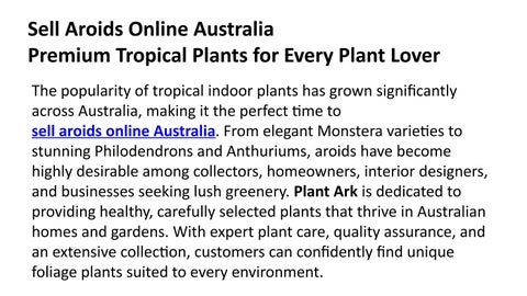 Sell Aroids Online Australia Premium Tropical Plants for Every Plant Lover