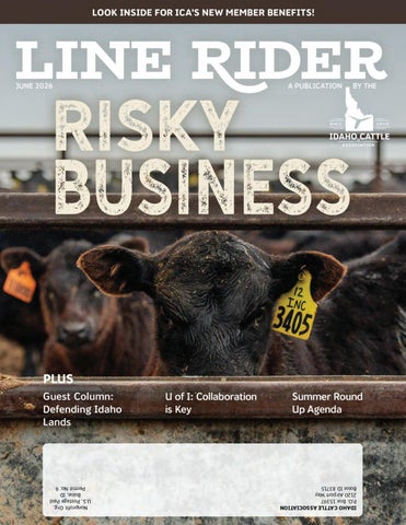June 2026 Line Rider
