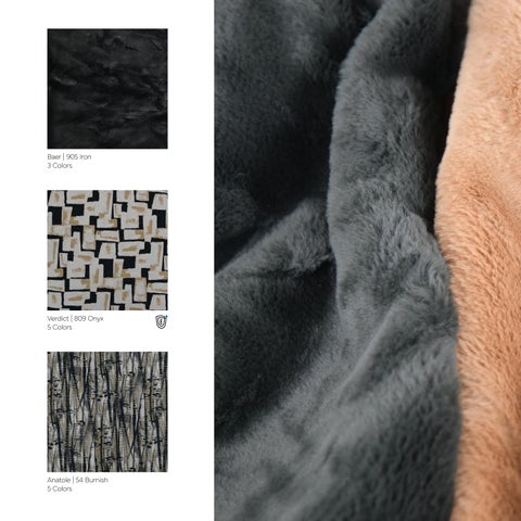 Compositions in Color - Fall 2025 第 12 页