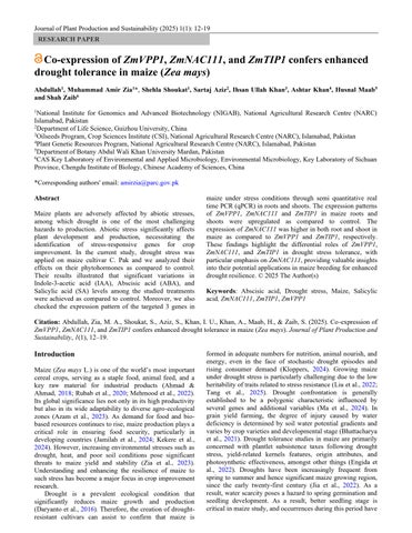 Co-expression of ZmVPP1, ZmNAC111, and ZmTIP1 confers enhanced drought tolerance in maize (Zea mays)