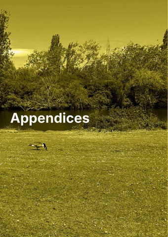 Reg 19 - Appendix 1 Local Plan Glossary