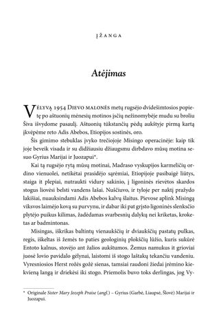 Vienuoliktas įsakymas