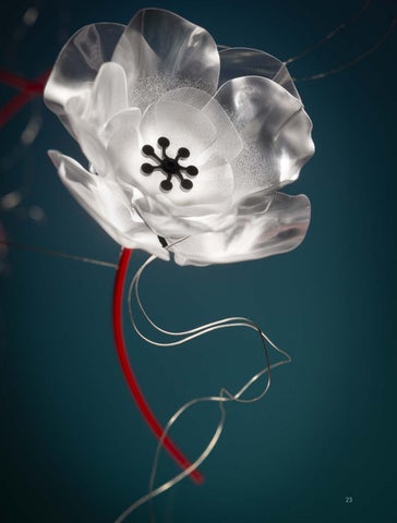 Poppy pag singole 第 23 页