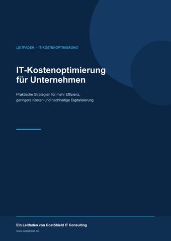 CostShield_IT-Kostenoptimierung_Leitfaden