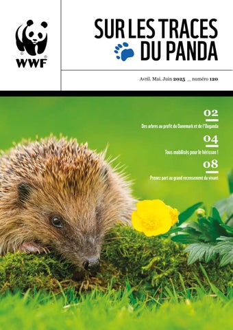 Sur les traces du Panda N°120