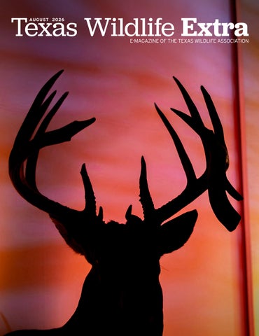 Texas Wildlife Extra - August 2026