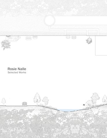 Rosie Nalle Portfolio