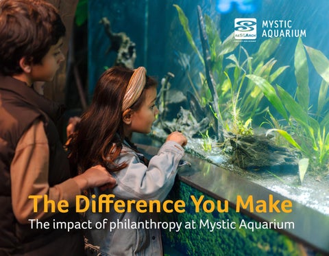 Donor Impact Report