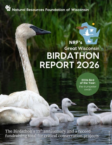 2026 Birdathon Report