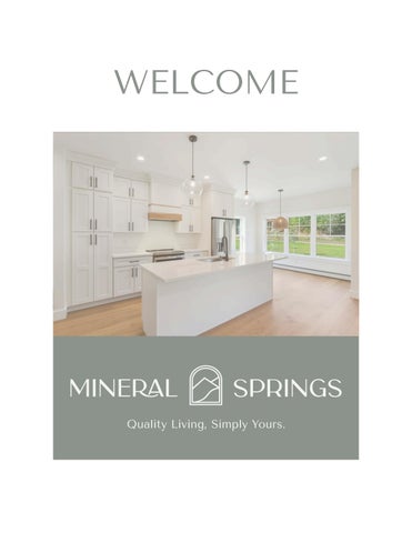 Welcome to Mineral Springs