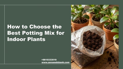 How to Choose the Best Potting Mix for Indoor Plants