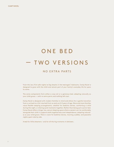 Camp Novel 英文 第 2 页