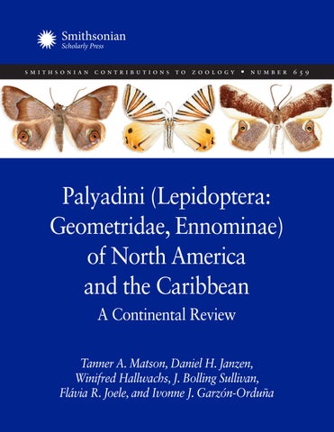 Palyadini (Lepidoptera: Geometridae: Ennominae) of North America and the Caribbean: A Continental Re