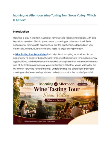 Morning vs Afternoon Wine Tasting Tour Swan Valley_ Which Is Better_