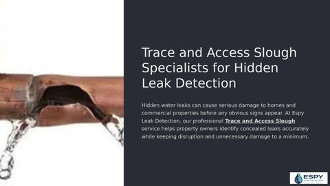 Trace and Access Slough Specialists for Hidden Leak Detection