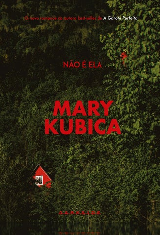 Não é Ela - Book Preview