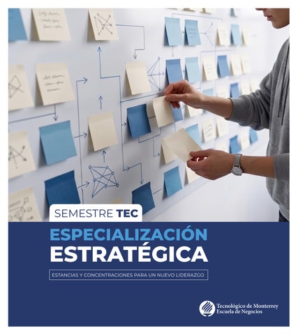 Folleto Especialización Estratégica FJ27