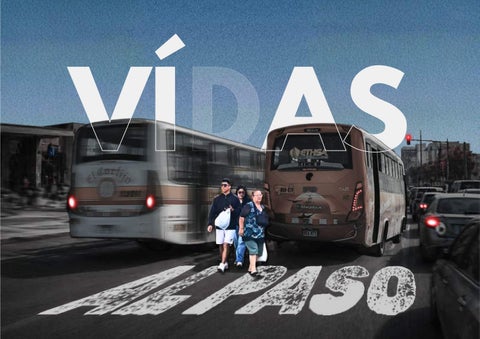 Vidas al Paso