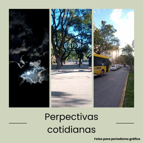 fotos grafico