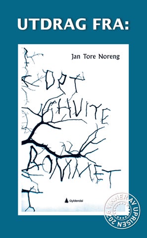 Det hvite rommet