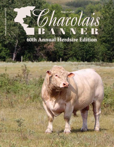 August 2026 Charolais Banner