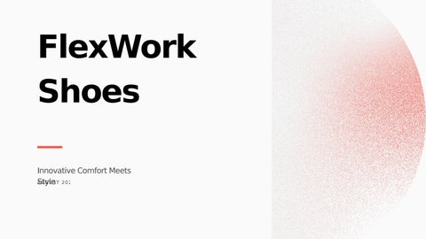 FlexWork Shoes Overview