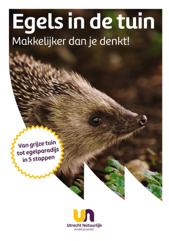 Brochure egelvriendelijke tuin Egel030 2026
