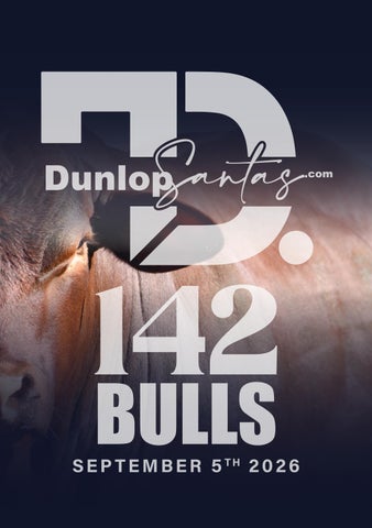 Dunlop Santa Gertrudis 2026