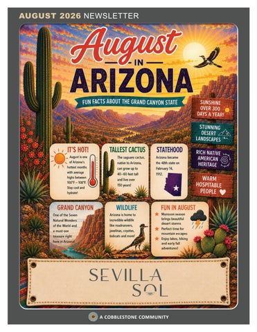 Sevilla Sol Newsletter Updated