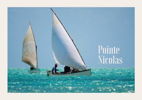 pointe nicolas - rodrigues - 20190517