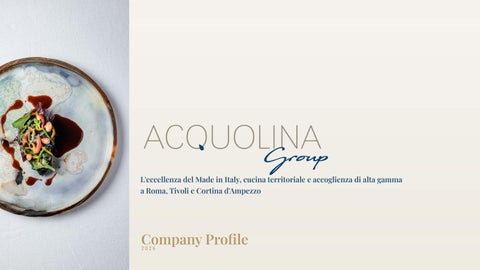 ACQUOLINA_GROUP_Company_Profile_MS