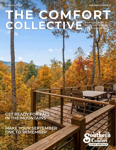The Comfort Collective Vol 1 Issue 11