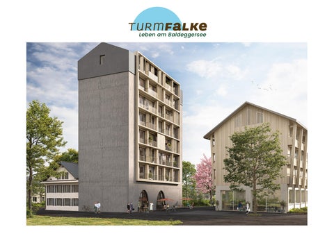 Turmfalke Gelfingen Wohnungen Turm