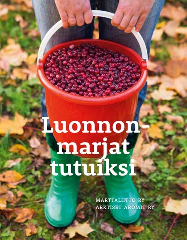 Luonnonmarjat tutuiksi