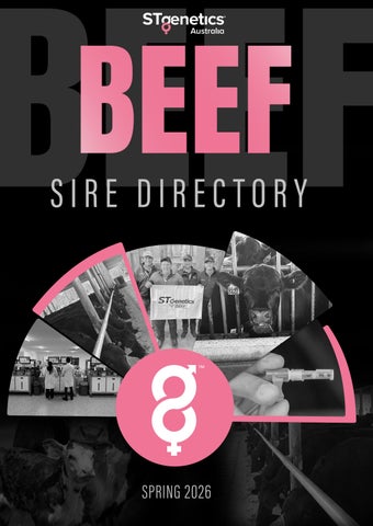 STgenetics Australia Spring 2026 Beef Catalogue